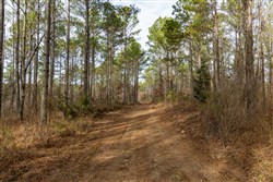 Lightning Ridge Tract 70