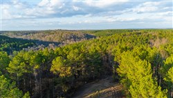 Lightning Ridge Tract 71