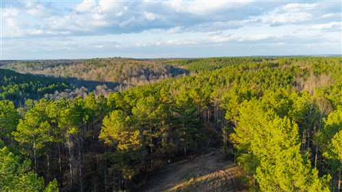 Lightning Ridge Tract 71