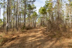 Lightning Ridge Tract 72
