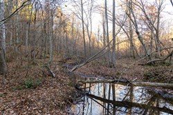 Lightning Ridge Tract 72