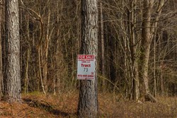 Lightning Ridge Tract 73