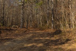 Lightning Ridge Tract 73