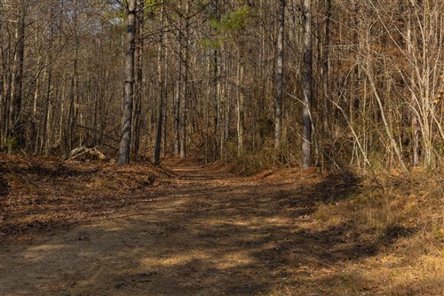 Lightning Ridge Tract 73