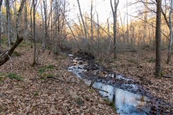Lightning Ridge Tract 73