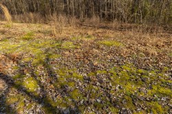 Lightning Ridge Tract 73