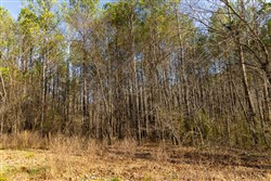 Lightning Ridge Tract 73