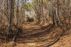 Lightning Ridge Tract 74