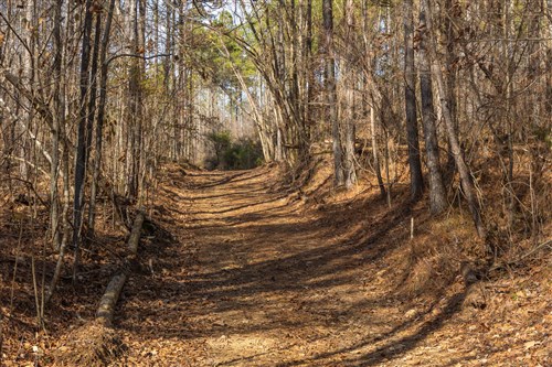 Lightning Ridge Tract 74