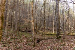 Lightning Ridge Tract 74