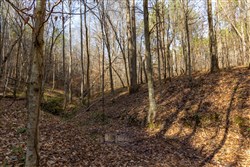 Lightning Ridge Tract 74