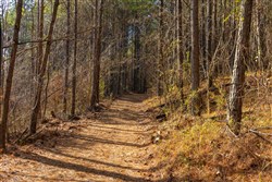 Lightning Ridge Tract 75