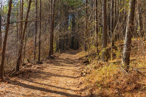 Lightning Ridge Tract 75