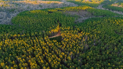 Lightning Ridge Tract 76