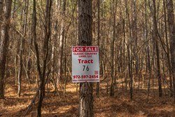 Lightning Ridge Tract 76