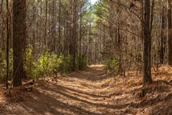 Lightning Ridge Tract 76