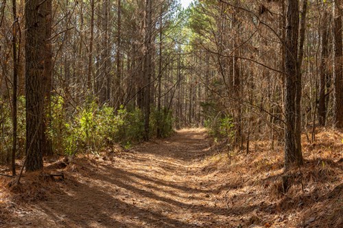 Lightning Ridge Tract 76