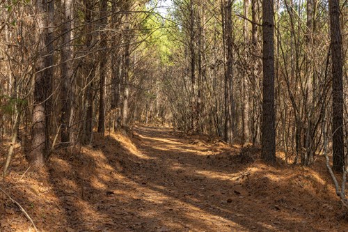 Lightning Ridge Tract 77