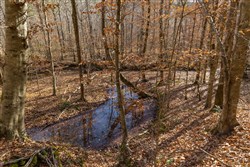 Lightning Ridge Tract 77