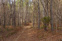 Lightning Ridge Tract 78