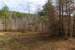 Lightning Ridge Tract 78