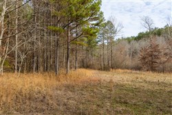 Lightning Ridge Tract 78