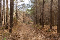 Lightning Ridge Tract 79