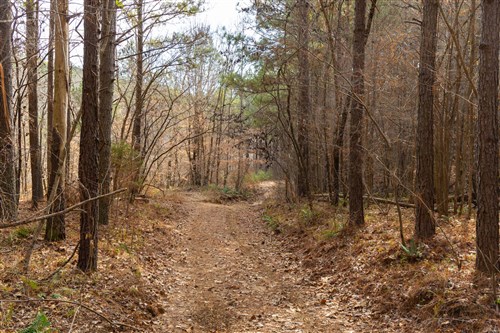 Lightning Ridge Tract 79