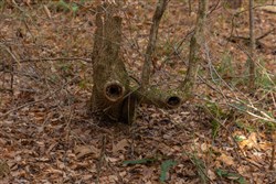 Lightning Ridge Tract 79