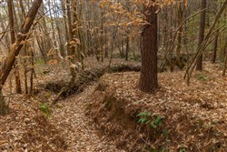 Lightning Ridge Tract 79