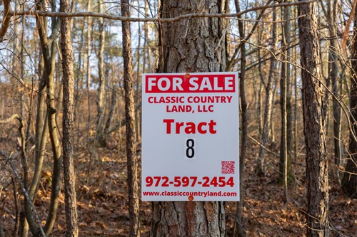 Lightning Ridge Tract 8