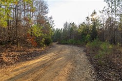 Lightning Ridge Tract 8
