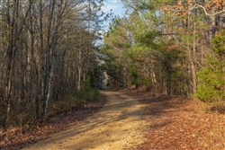 Lightning Ridge Tract 8