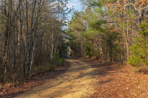 Lightning Ridge Tract 8