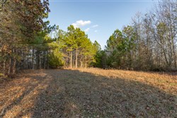 Lightning Ridge Tract 8