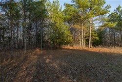 Lightning Ridge Tract 8