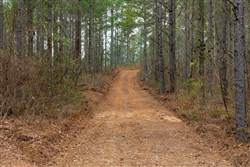 Lightning Ridge Tract 80