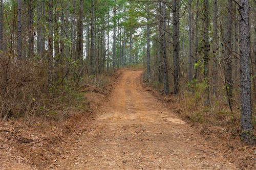 Lightning Ridge Tract 80