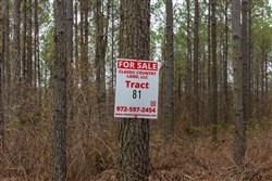 Lightning Ridge Tract 81