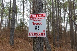 Lightning Ridge Tract 82