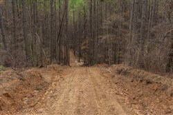 Lightning Ridge Tract 82