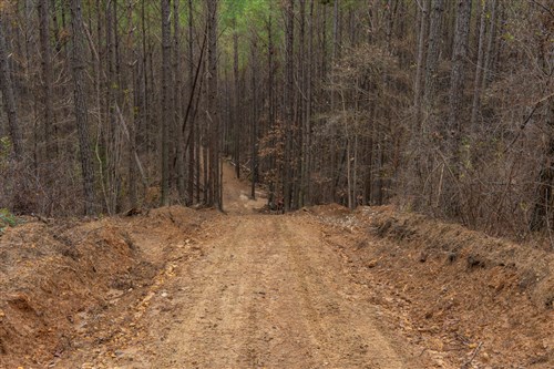 Lightning Ridge Tract 82