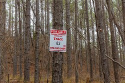 Lightning Ridge Tract 83