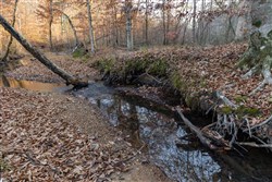 Lightning Ridge Tract 83