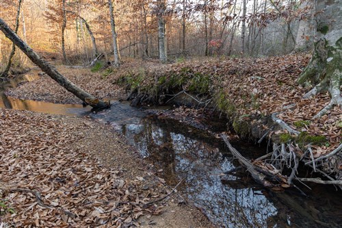 Lightning Ridge Tract 83
