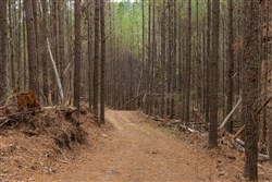 Lightning Ridge Tract 83