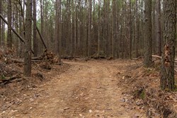 Lightning Ridge Tract 84