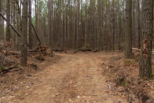 Lightning Ridge Tract 84