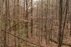 Lightning Ridge Tract 84