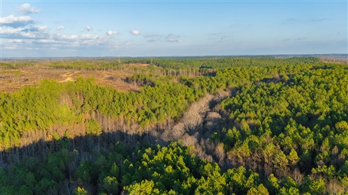 Lightning Ridge Tract 85